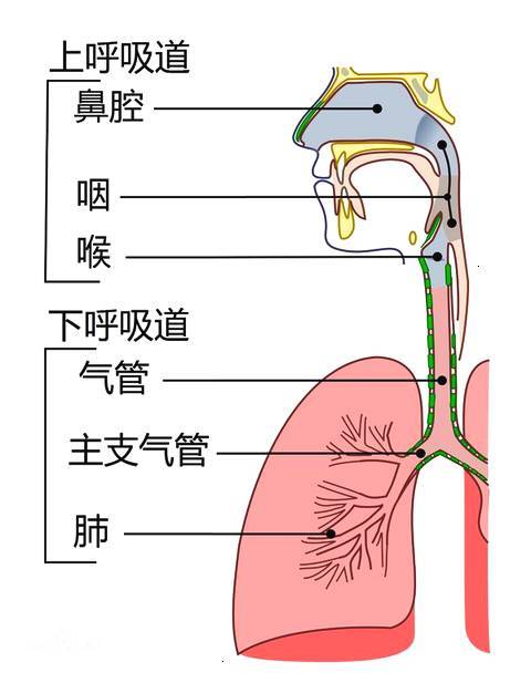 微信圖片_20191221110830.jpg